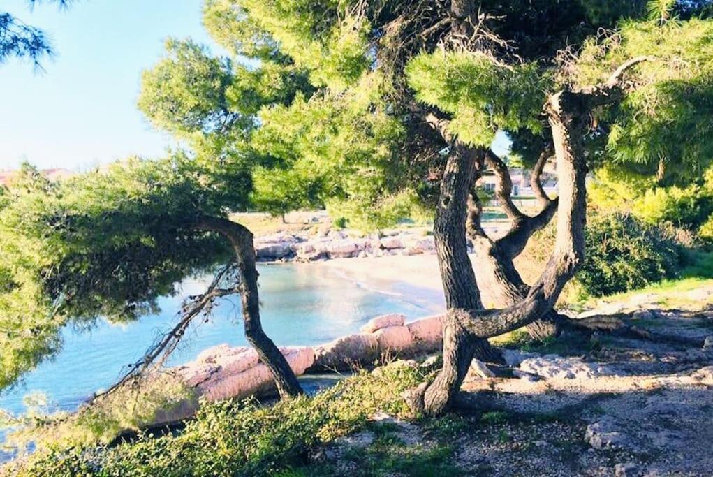 Right By The Sea • Les Embruns * Martigues